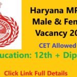 HSSC MPHW Recruitment 2025 Notification