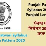 Punjab Patwari Syllabus 2025 In Punjabi Language